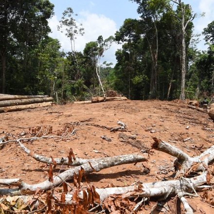 Picture of a deforested area taken during surveillance by officials from Para State, northern Brazil, in the Amazon rain forest in the municipality of Pacaja, 620 km from the capital Belem, on September 22, 2021. - The Amazon basin has, until recently, absorbed large amounts of humankind's ballooning carbon emissions, helping stave off the nightmare of unchecked climate change. But studies indicate the rainforest is hurtling toward a "tipping point," at which it will dry up and turn to savannah, its 390 billion trees dying off en masse. Already, the destruction is quickening, especially since far-right President Jair Bolsonaro took office in 2019 in Brazil -- home to 60 percent of the Amazon -- with a push to open protected lands to agribusiness and mining. (Photo by EVARISTO SA / AFP) (Photo by EVARISTO SA/AFP via Getty Images)